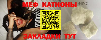 прущие грибы Обь