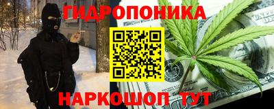 прущие грибы Обь