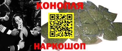 прущие грибы Обь