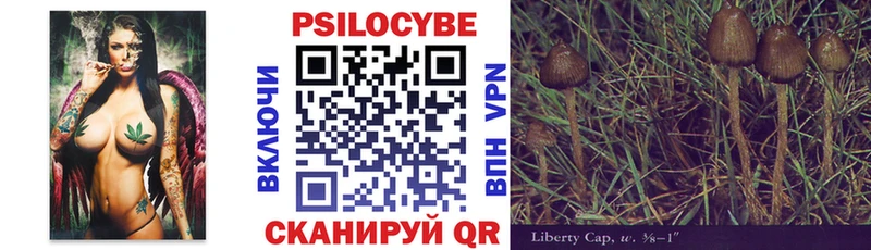 Галлюциногенные грибы Cubensis Назарово