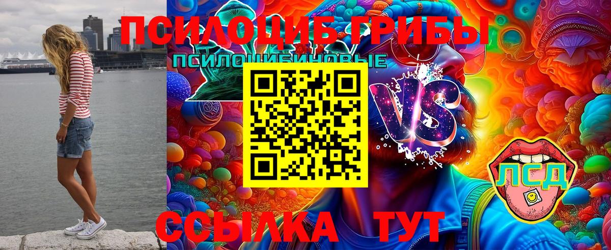 Галлюциногенные грибы Psilocybe Назарово